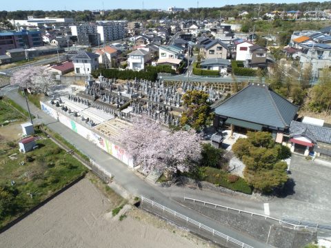 福応寺と満開の桜を空撮