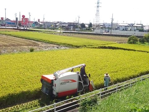 『実るほど頭を垂れる稲穂かな』