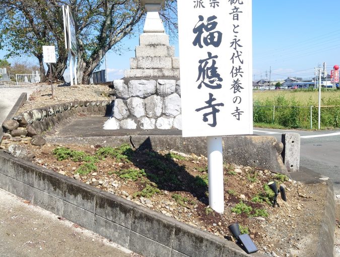 芝桜の植え替えをしました