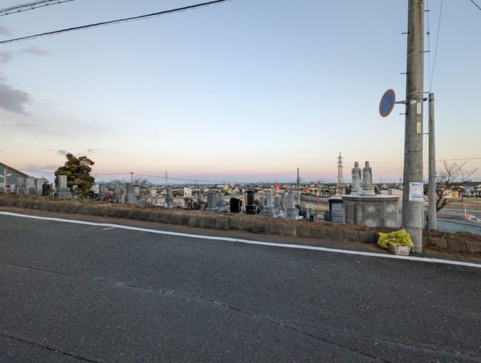 カイヅカイブキの伐採 その2