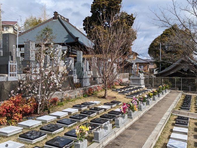 福応寺境内の開花状況