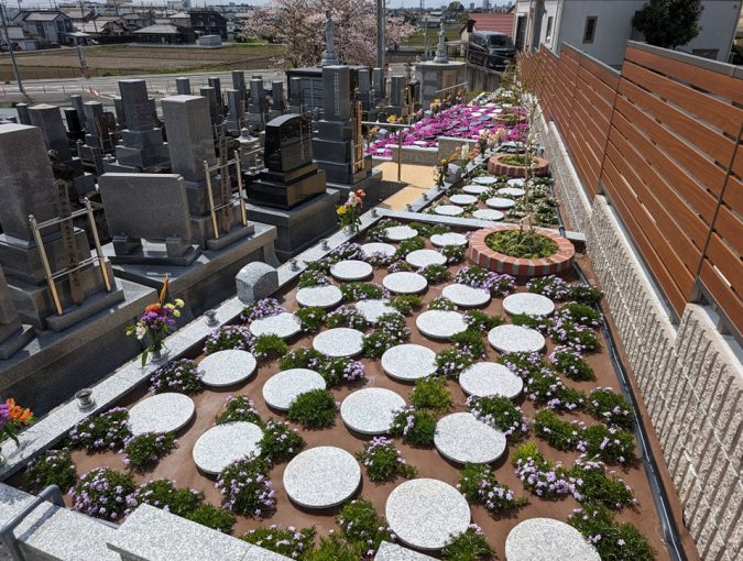 境内の芝桜の様子