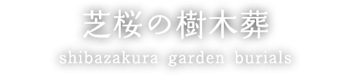 芝桜の樹木葬